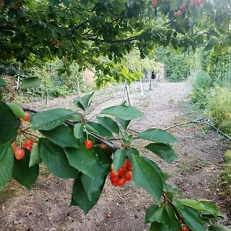 Veranda Plati  Exteriér fotografie
