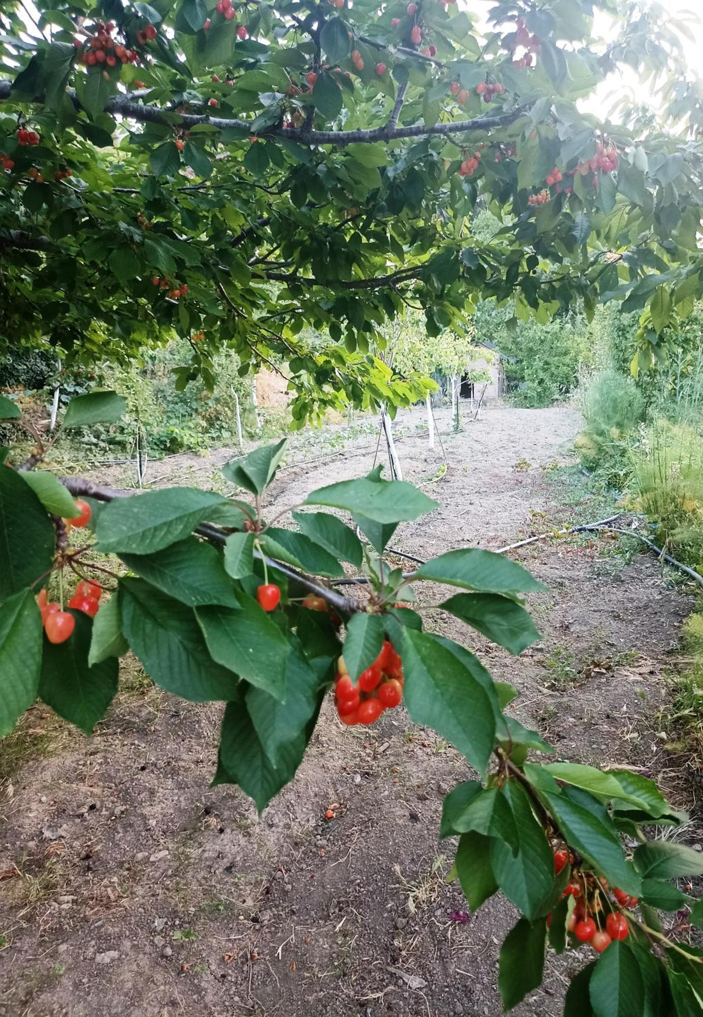 Σπίτι διακοπών Veranda Plati (Crete)