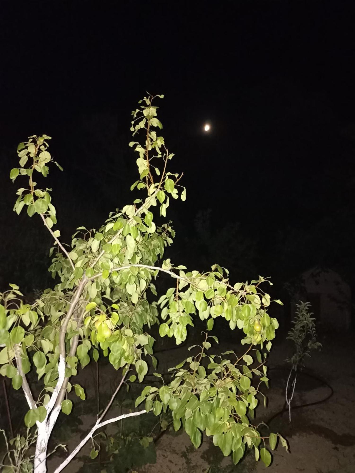 Veranda Plati (Crete)
